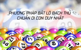 Cách Bắt Bạch Thủ Lô 1 Con